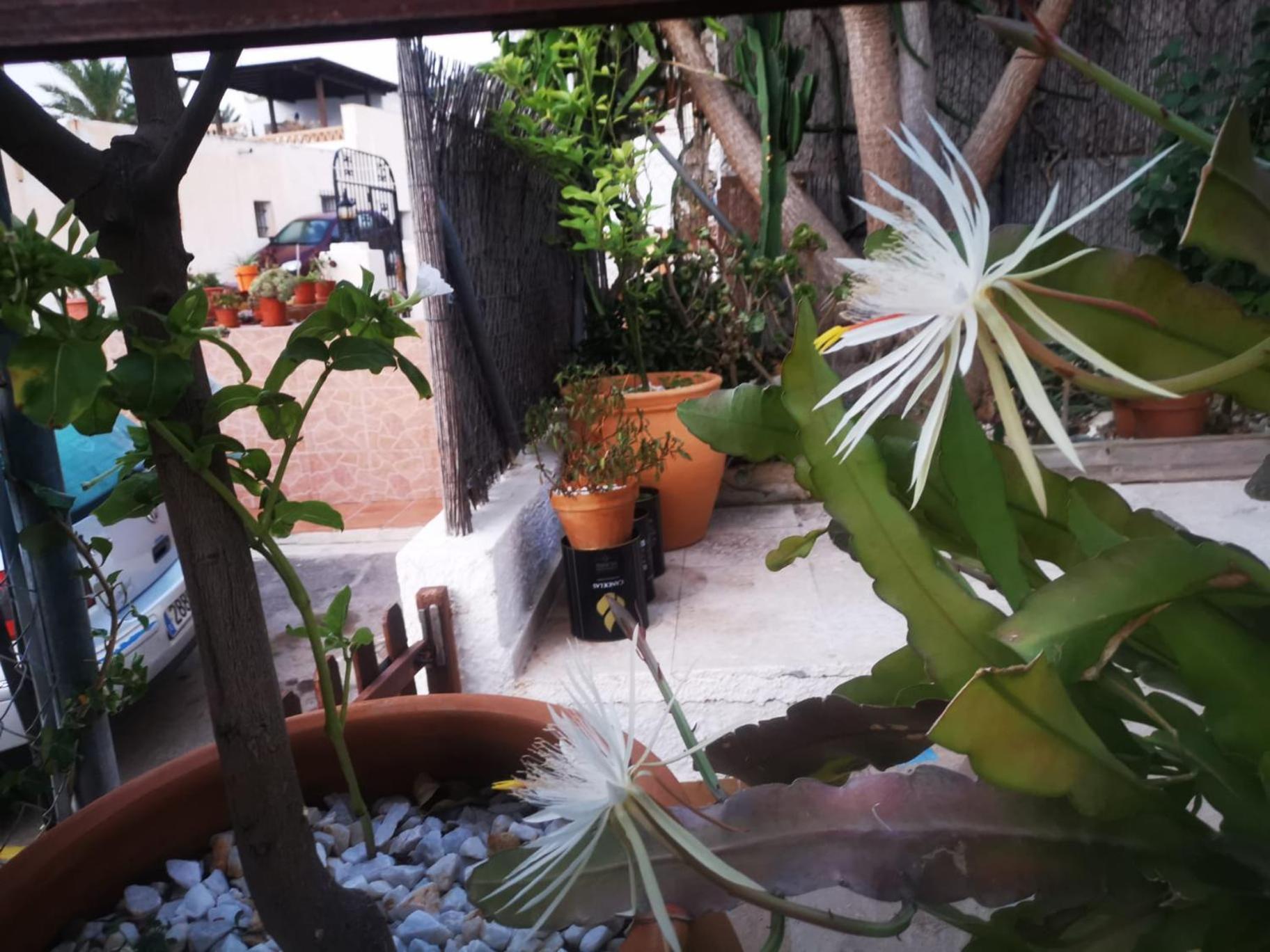 Appartement Vivienda Rural En Cabo De Gata à El Pozo de los Frailes Extérieur photo