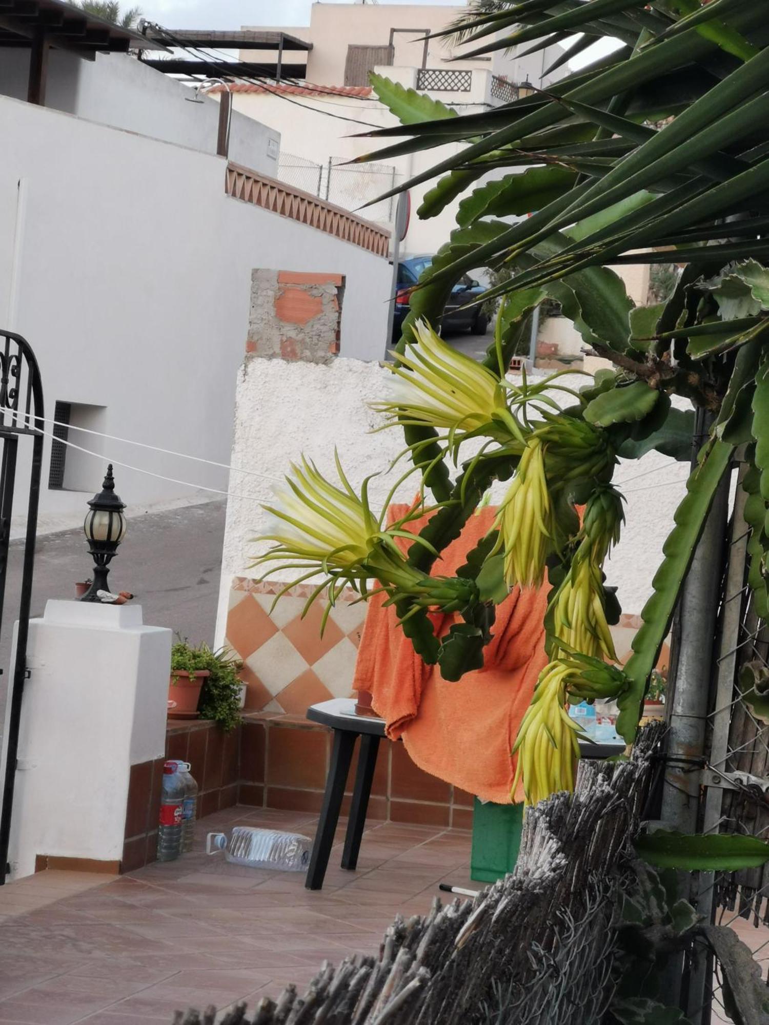 Appartement Vivienda Rural En Cabo De Gata à El Pozo de los Frailes Extérieur photo
